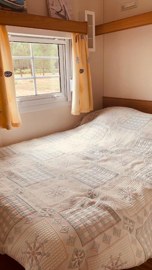 Petite Maison Dans La Prairie Cabanac-et-Villagrains Dış mekan fotoğraf